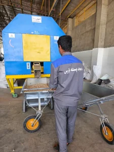 فراوری پسته